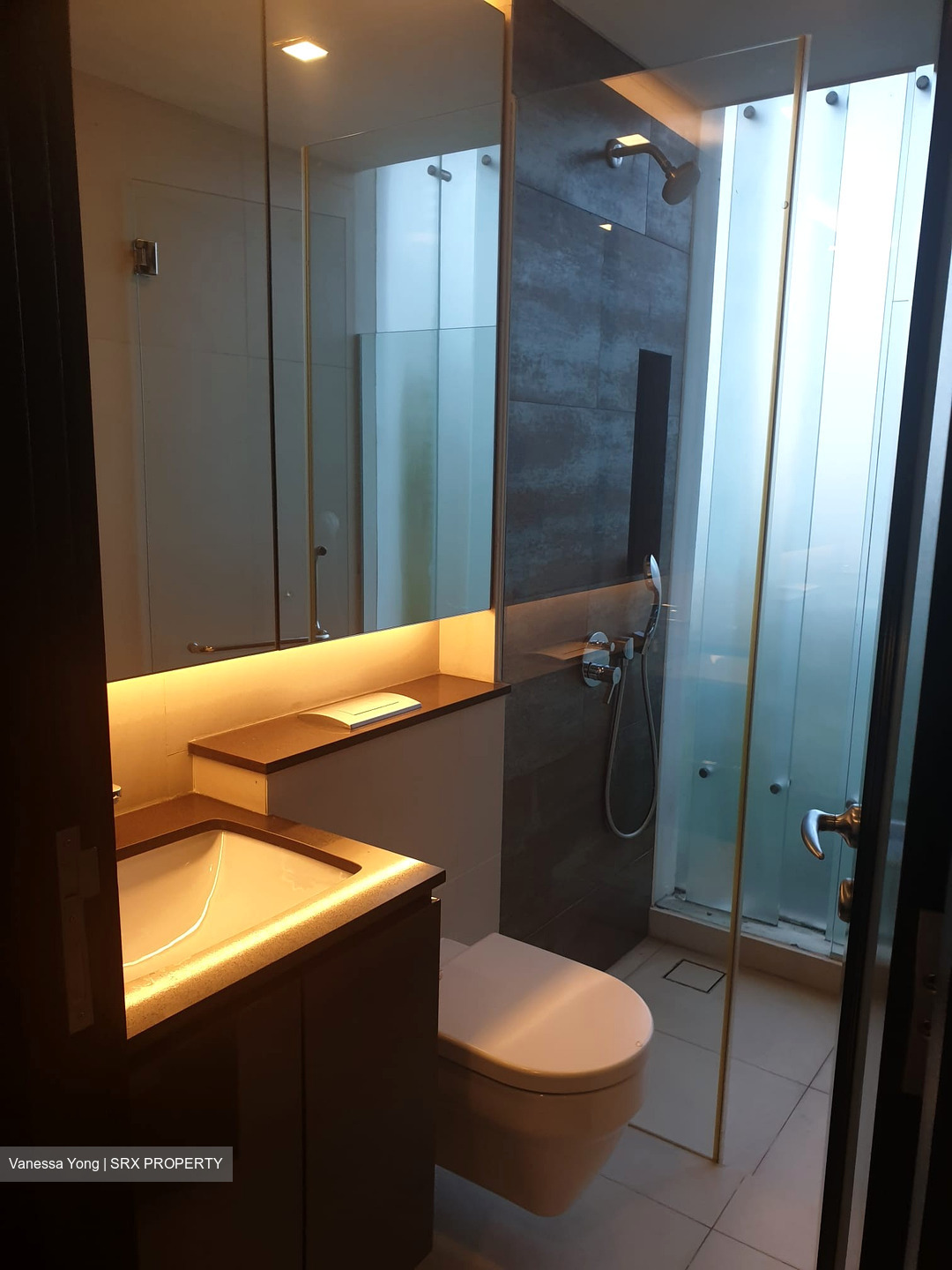 Oei Tiong Ham Park Residences (D10), Apartment #430574891